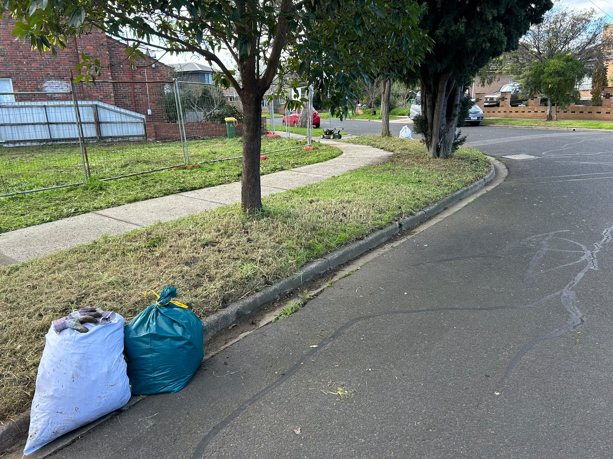 Garden Clean Up After image 9
